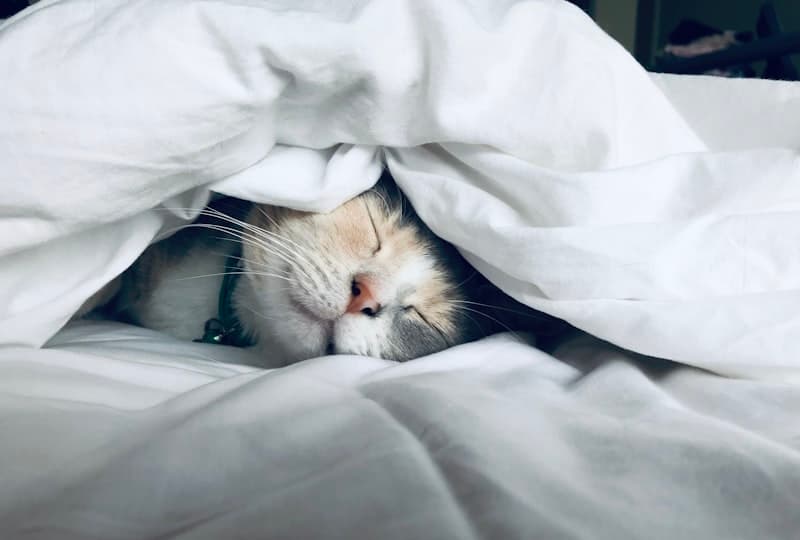 Sleep treatment